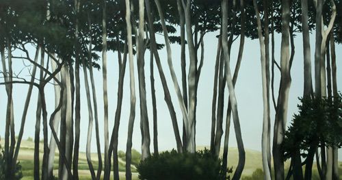 Bild von Franz Baumgartner